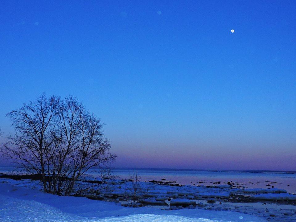 Motel De La Pointe Aux Bouleaux Baie-Sainte-Catherine Exteriér fotografie