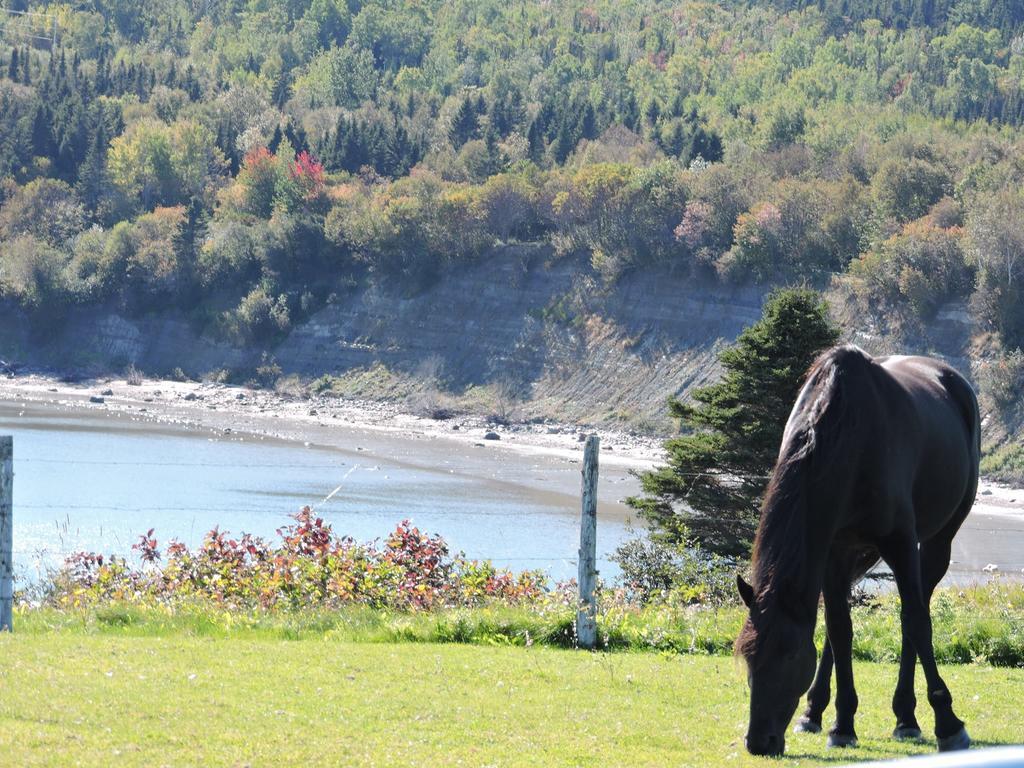 Motel De La Pointe Aux Bouleaux Baie-Sainte-Catherine Exteriér fotografie